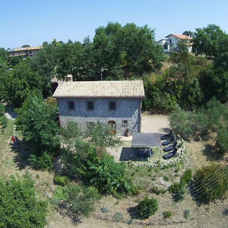 Fattoria Capobianco Villa Montefiascone Exterior foto