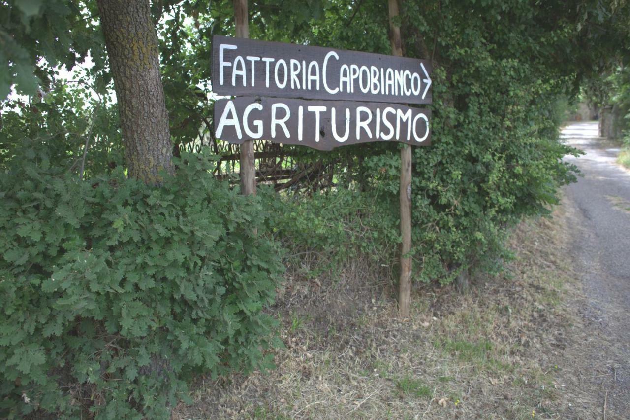 Fattoria Capobianco Villa Montefiascone Exterior foto