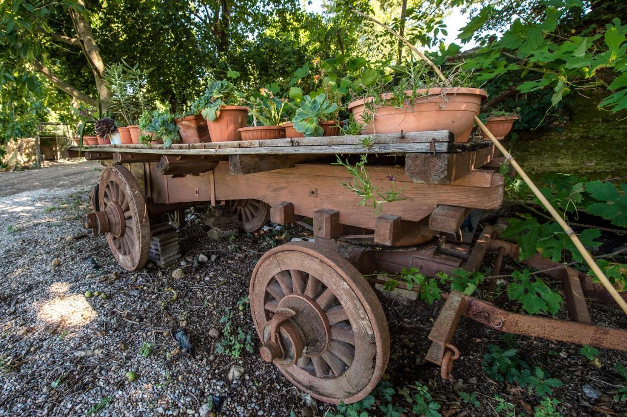 Fattoria Capobianco Villa Montefiascone Exterior foto